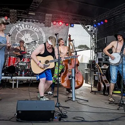 Steve ’n’ Seagulls